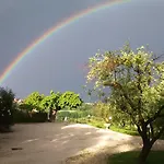 Il Vecchio Scornabecco Scapezzano