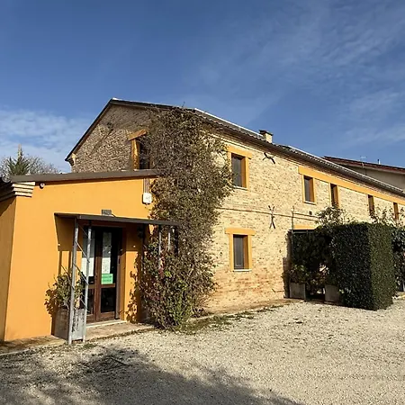 Il Vecchio Scornabecco Senigallia