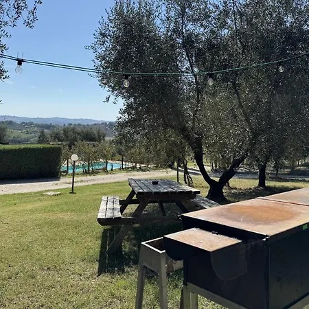 Il Vecchio Scornabecco Agroturismo *