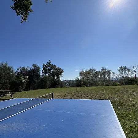 Il Vecchio Scornabecco Scapezzano