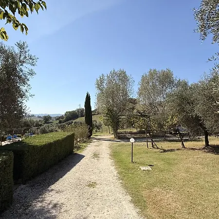 Il Vecchio Scornabecco *