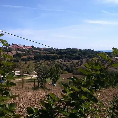 Il Vecchio Scornabecco *