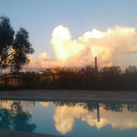 Il Vecchio Scornabecco Scapezzano