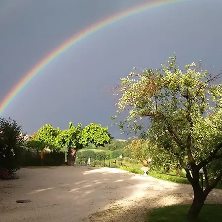 Il Vecchio Scornabecco Scapezzano