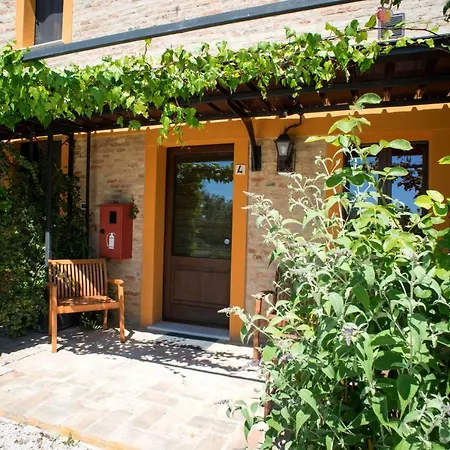 Il Vecchio Scornabecco * Scapezzano