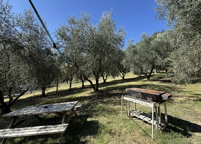 Il Vecchio Scornabecco Scapezzano