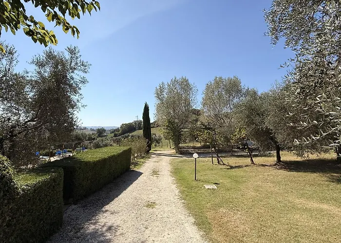 Il Vecchio Scornabecco *