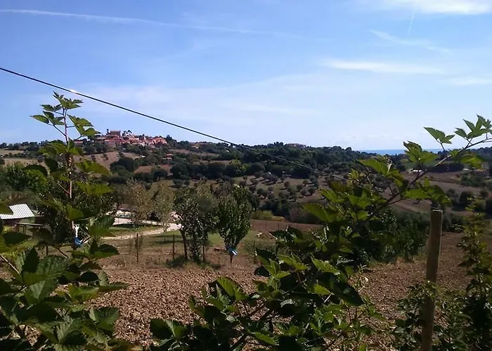 Il Vecchio Scornabecco *