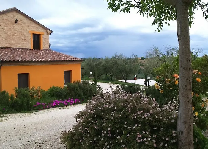 Il Vecchio Scornabecco