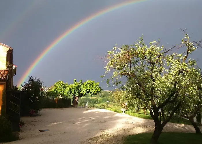 Il Vecchio Scornabecco Scapezzano
