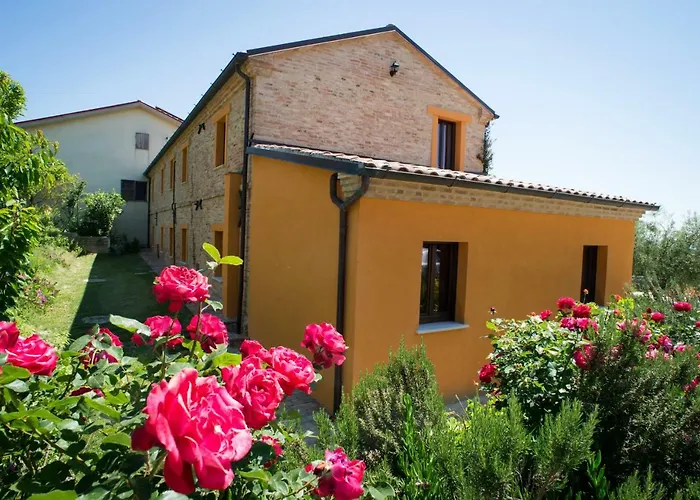 Il Vecchio Scornabecco * Scapezzano